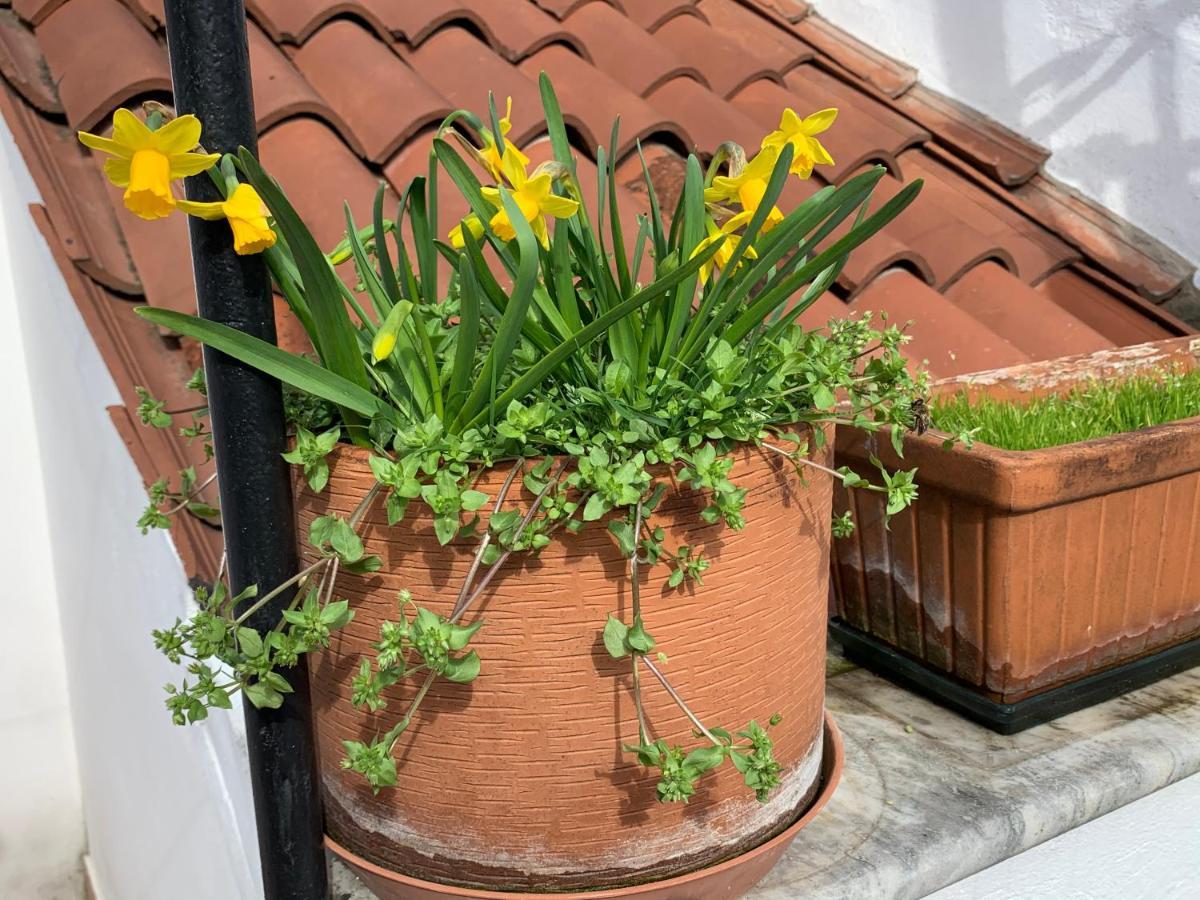 Domus dei fabbri Apartment Veneţia Exterior foto